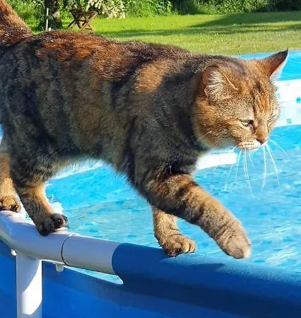 Wisteria House 3* Chanteloup (Deux-Sevres)