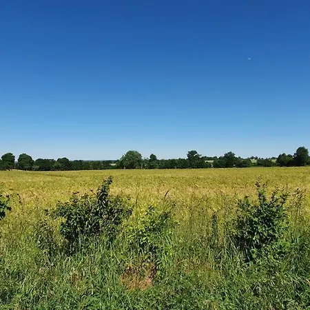 Frühstückspension Wisteria House 3*