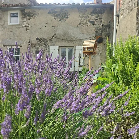 Wisteria House * Chanteloup (Deux-Sevres)