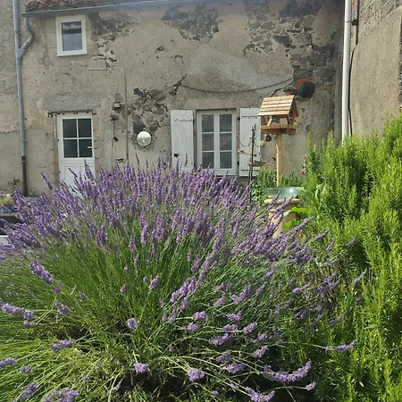 Wisteria House