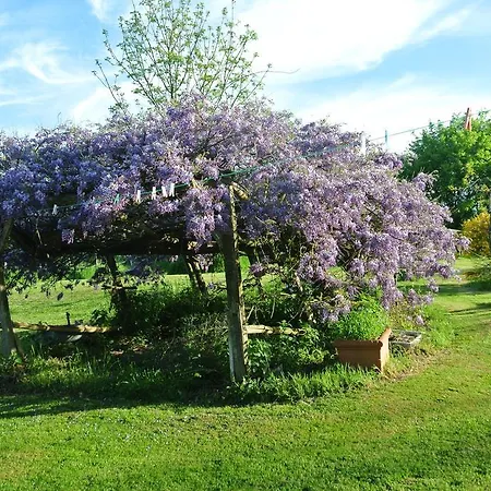 Bed & Breakfast Wisteria House