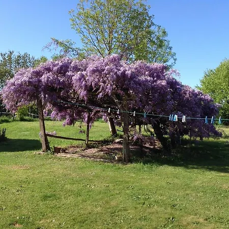 Wisteria House